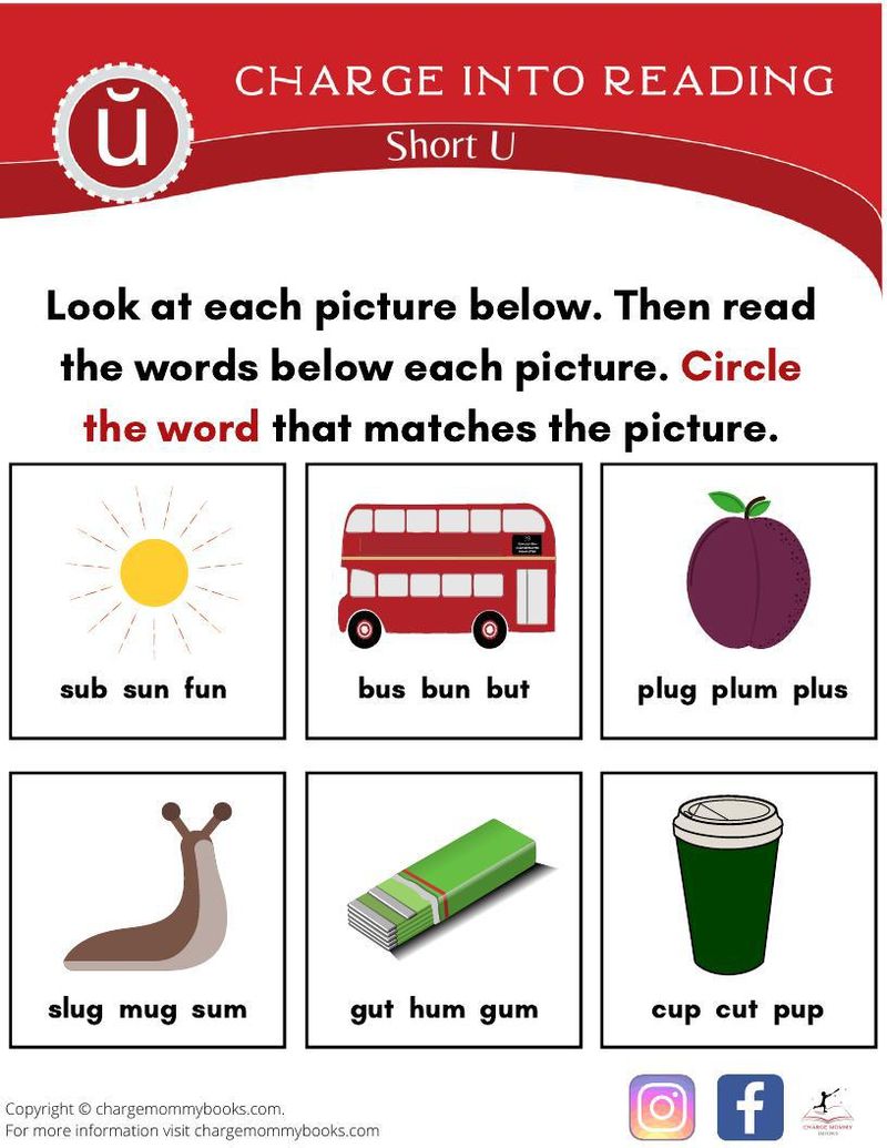 An image of a short u words activity