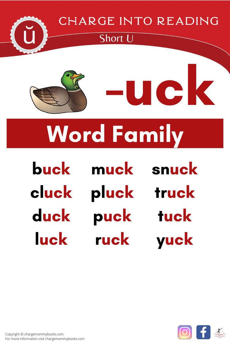 An image showing the short U -uck word familiy