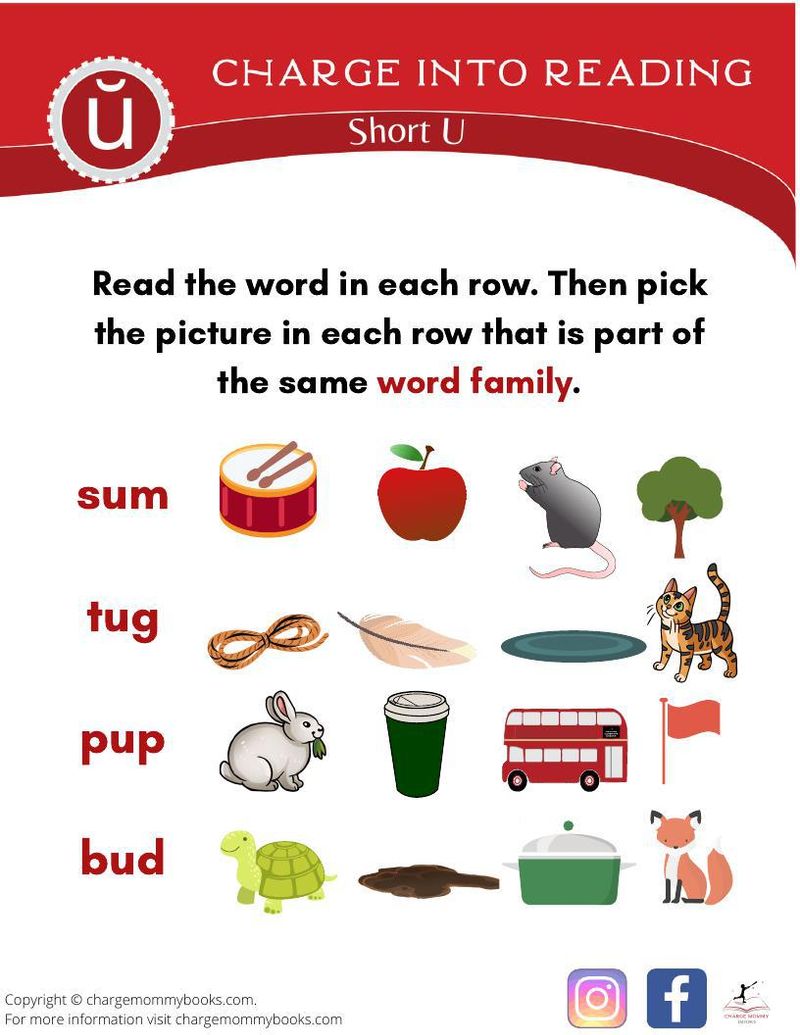 An image of a short u words activity
