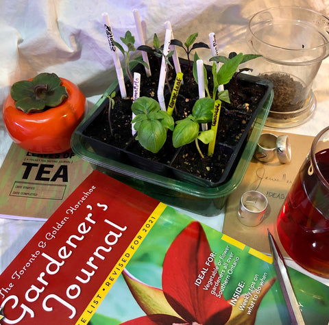 tea and gardening