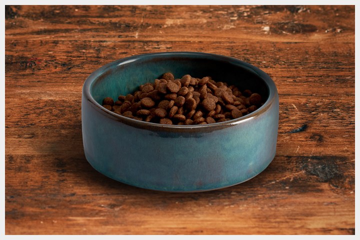 what is the safest puppy food