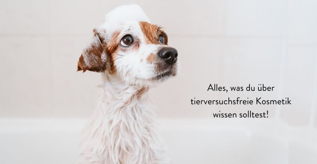 Wie erkenne ich tierversuchsfrei