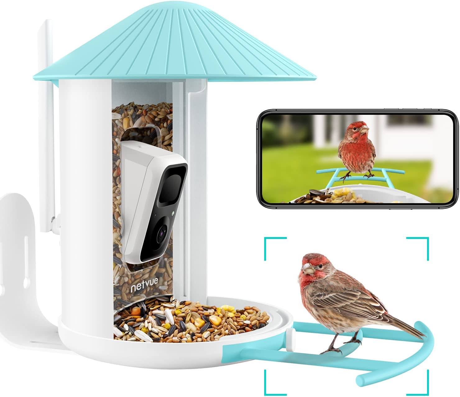 Smart Bird Feeder Camera, Bird Watching, Bird House Camera with Motion Detection & Auto Capture