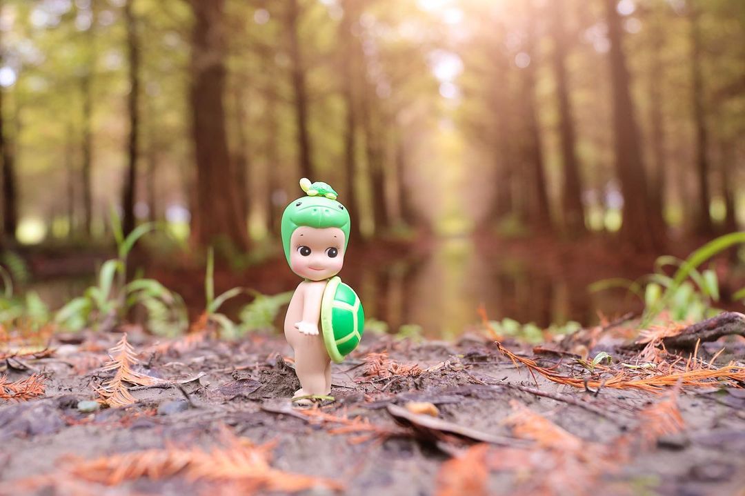 A turtle Sonny Angel is photographed in the woods