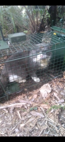 MinkPolice Cat Cage