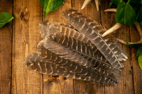 Blue Turkey Plumage (flats) Craft Feathers per Ounce from Lamplight Feather  package