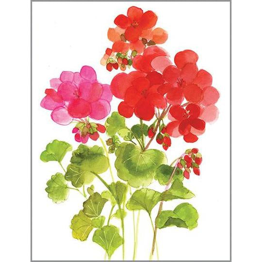 Every Day Little Note-Geraniums