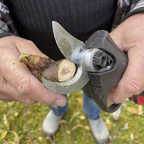 Sécateurs électriques Sécateur électrique sans fil 25 V 40 mm, cisaillement  efficace, taille des branches de fruits, bonsaï, 12 heures de travail.  (Size : Shears(Box)) : : Jardin