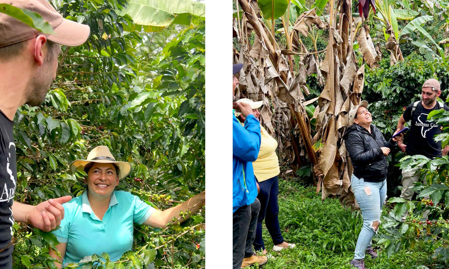 Einblick in die Kaffeeplantagen Kolumbiens: Gemeinsam mit der Frauenkooperative El Trebol erleben wir die Authentizität und Hingabe hinter unserem Kaffeeangebot