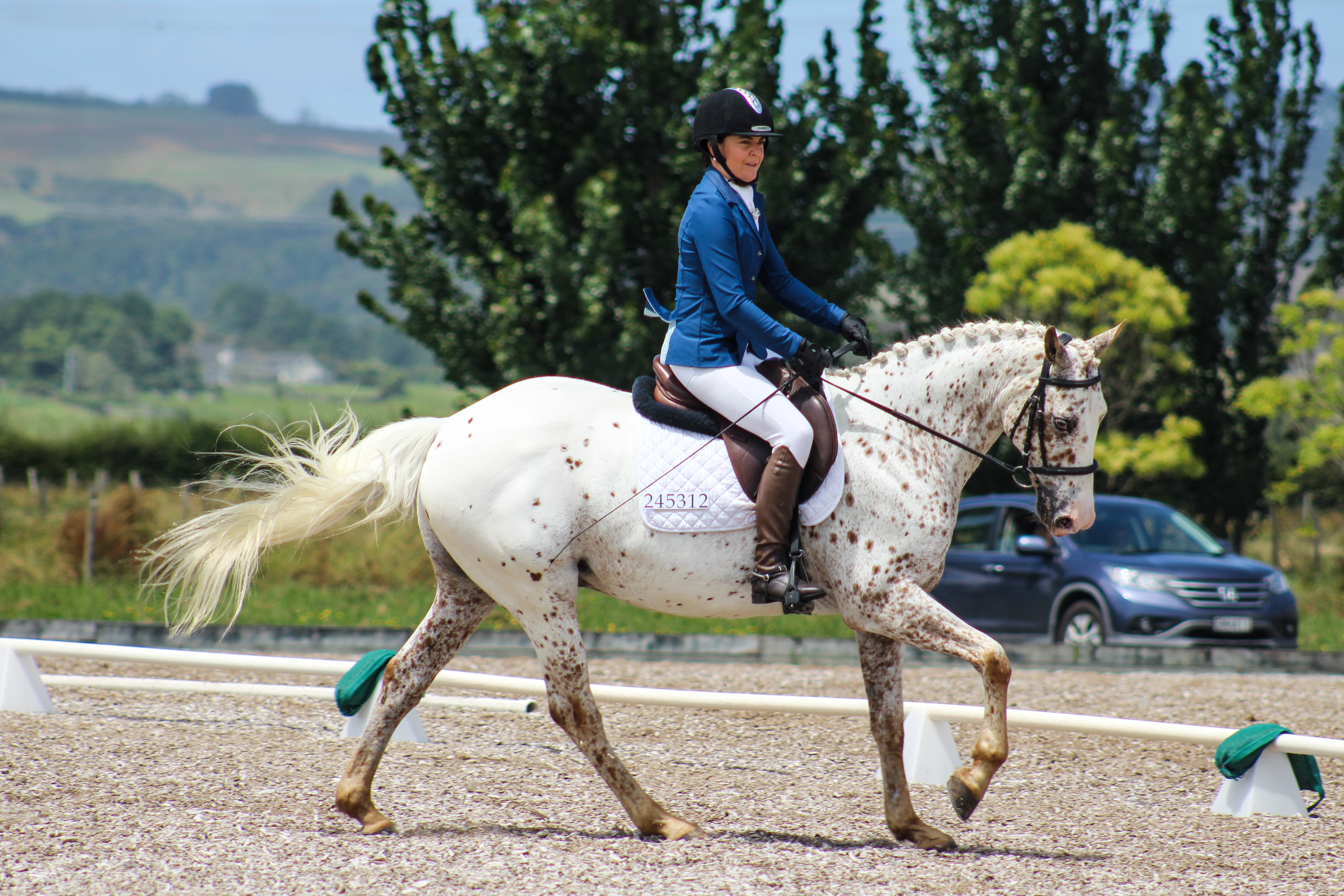 Competing with Merle at Auckland Manukau Dressage