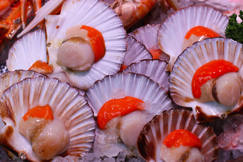 Fresh Scallops