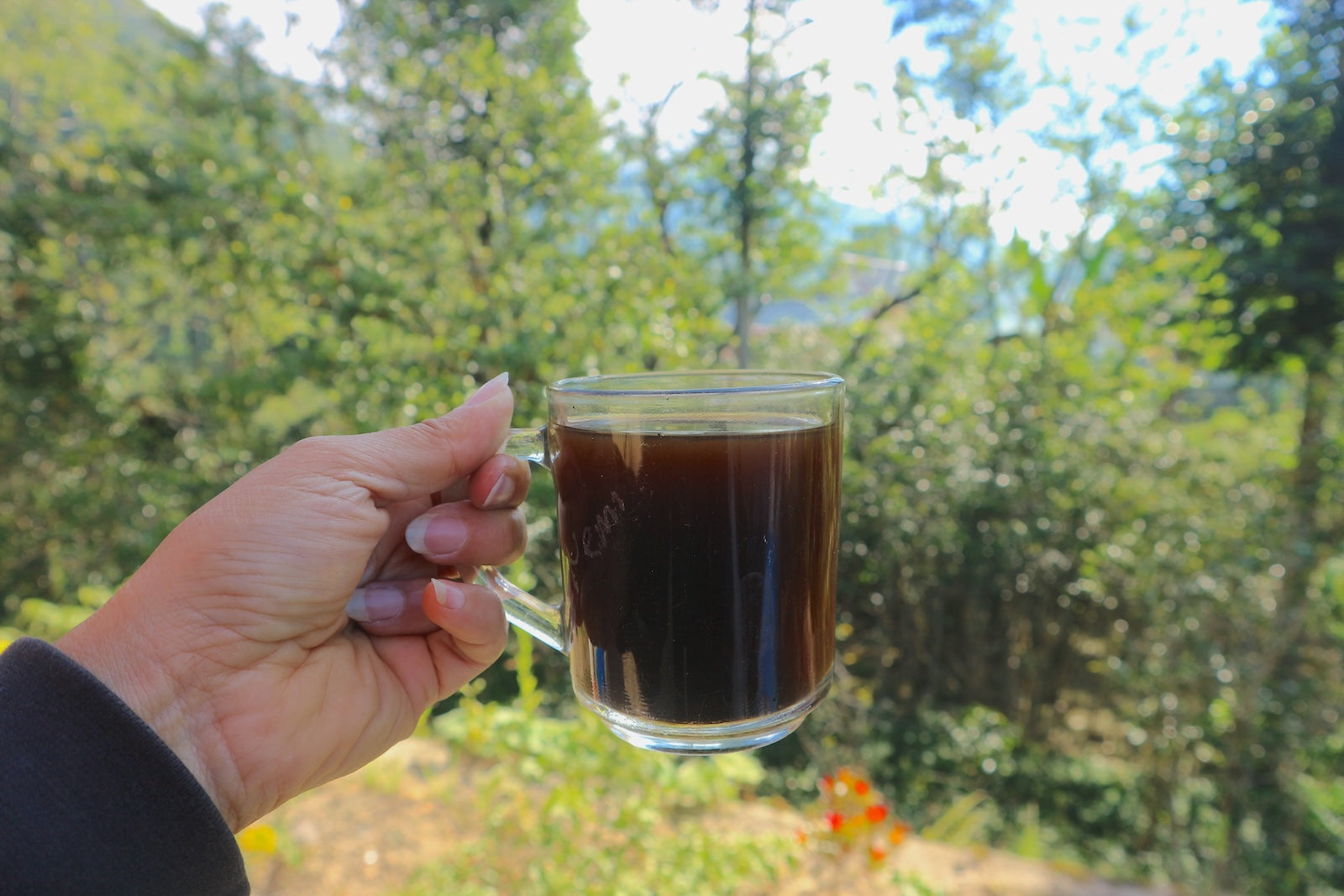 close up of a womans hand holding a cup of coffee