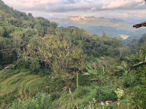 Sprawling vista of Tana Toraja