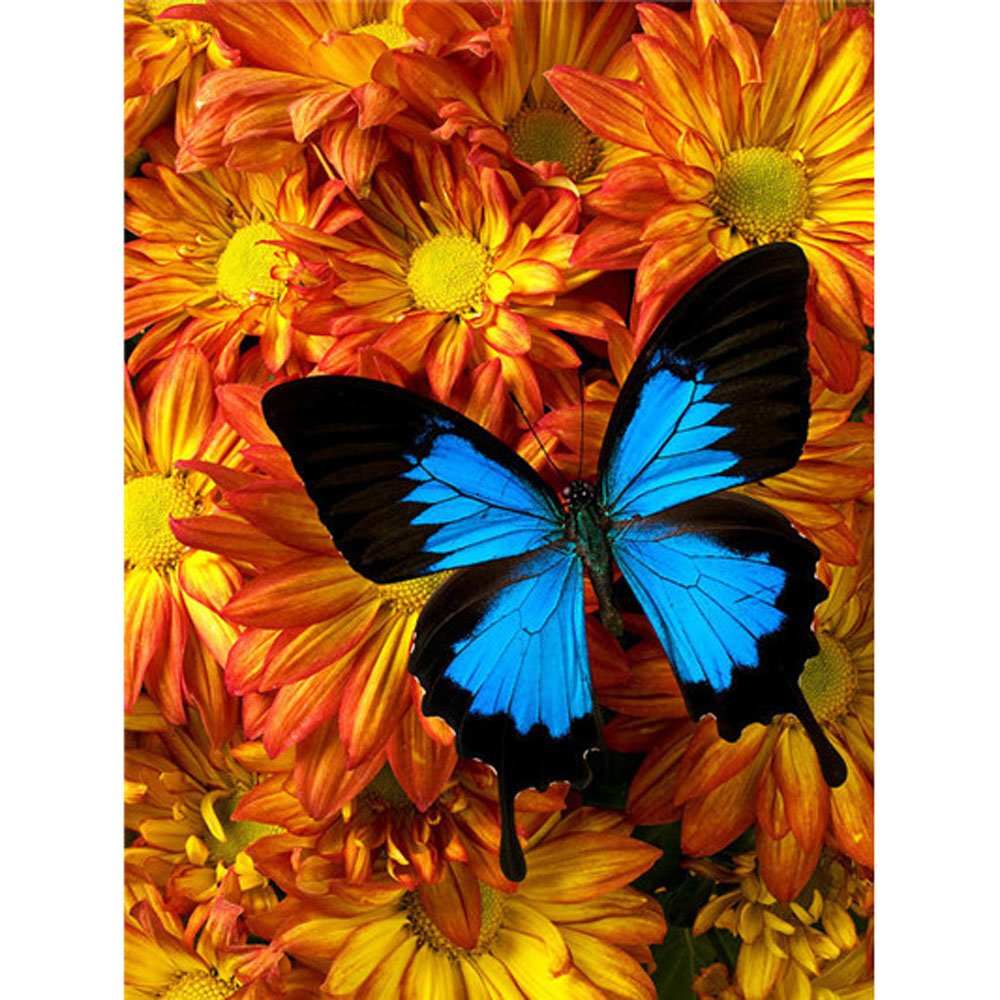 Diamond Paintings Art Full Drill Butterfly Flower