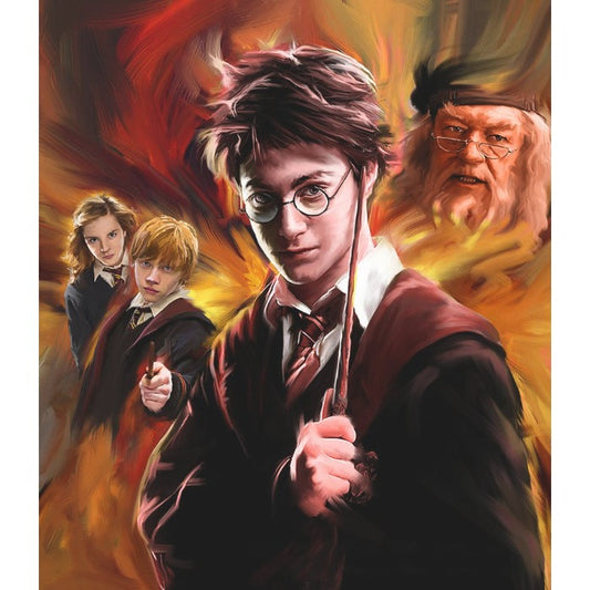 Harry Potter - Paint By Numbers(40*50cm)