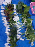 okanoka plant shop