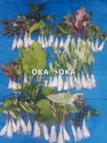 okanoka plants shipment documentation