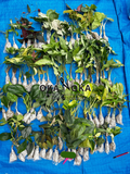 okanoka.com plant seller
