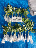 okanoka plants shipment documentation