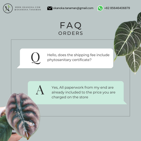 okanoka.com FAQ