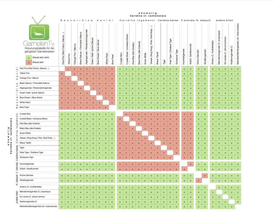 Kreuzungstabelle Zwerggarnelen von GarnelenTv
