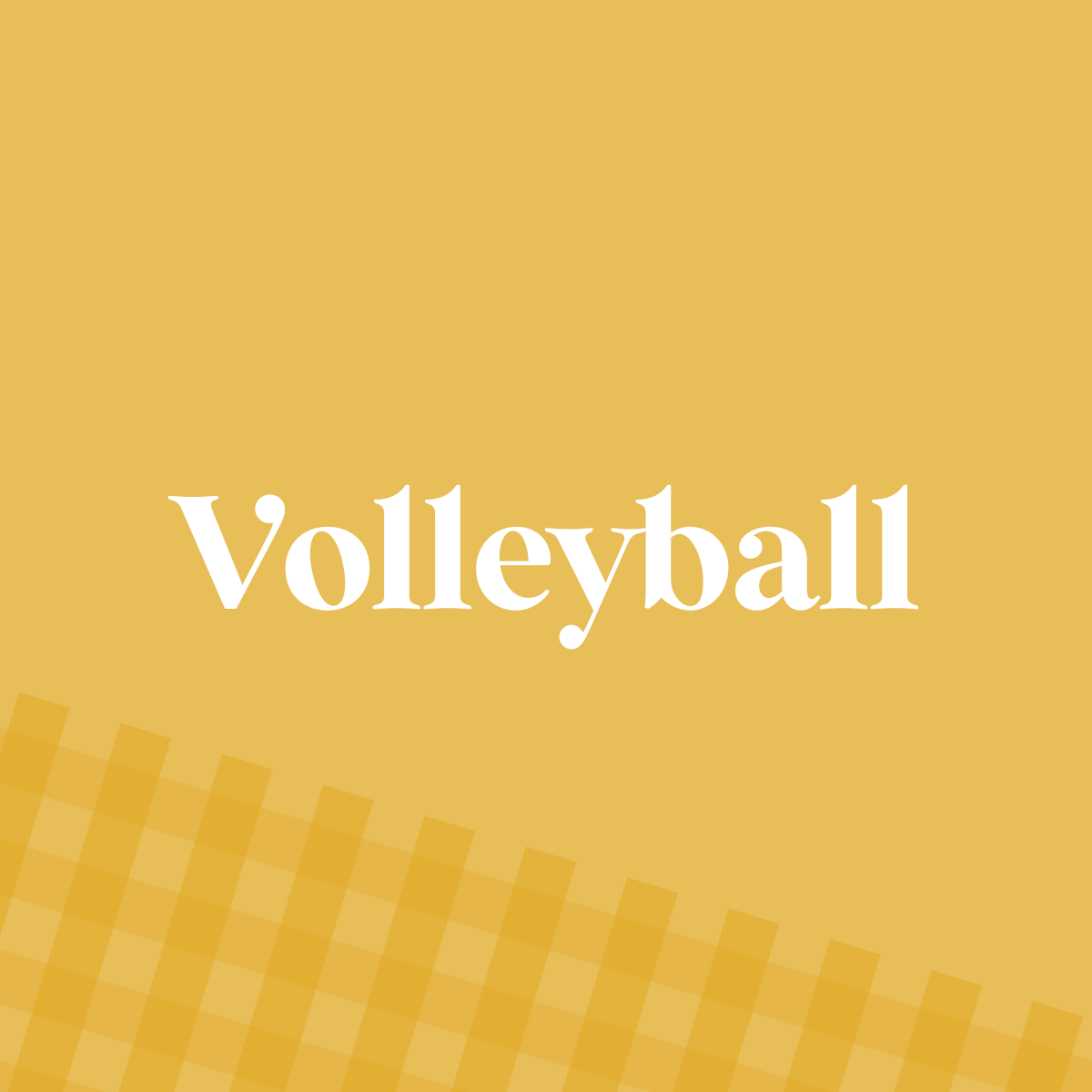 Volleyball: *DTF* Transfers – NSR Transfers