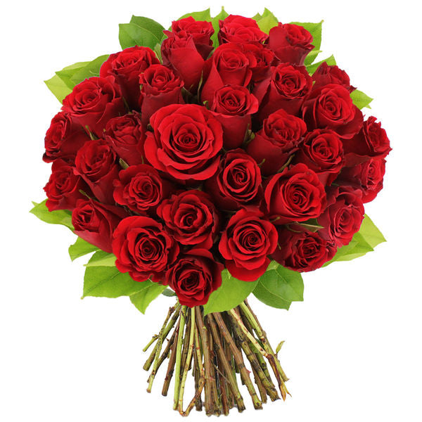 roses rouge – Wandaroses