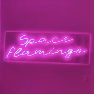 space-flamingo-paula-echevarría