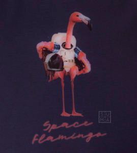 logo-space-flamingo