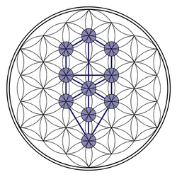 FLOWER OF LIFE 0,7 l