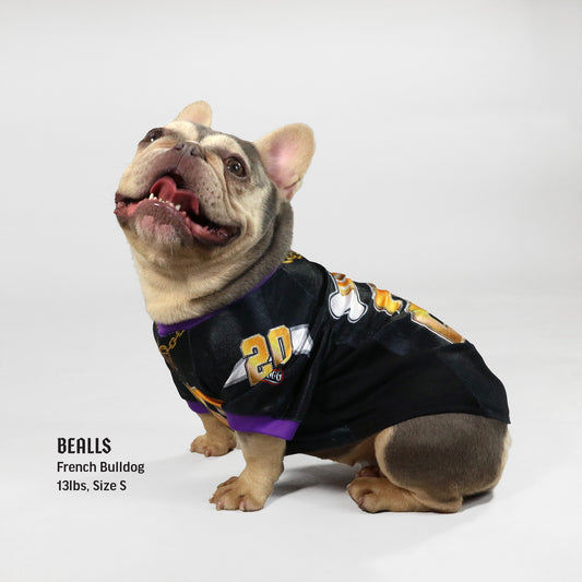 Snoop Doggie Doggs Deluxe Pet Jersey, Halftime, Medium : .in: Pet  Supplies