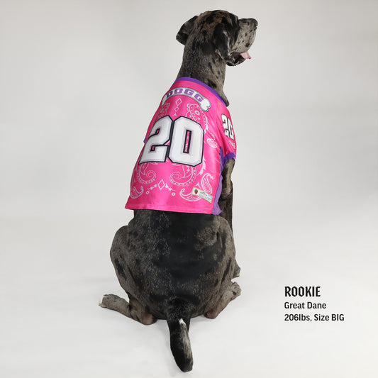 Snoop Doggie Doggs Deluxe Pet Jersey Halftime Large