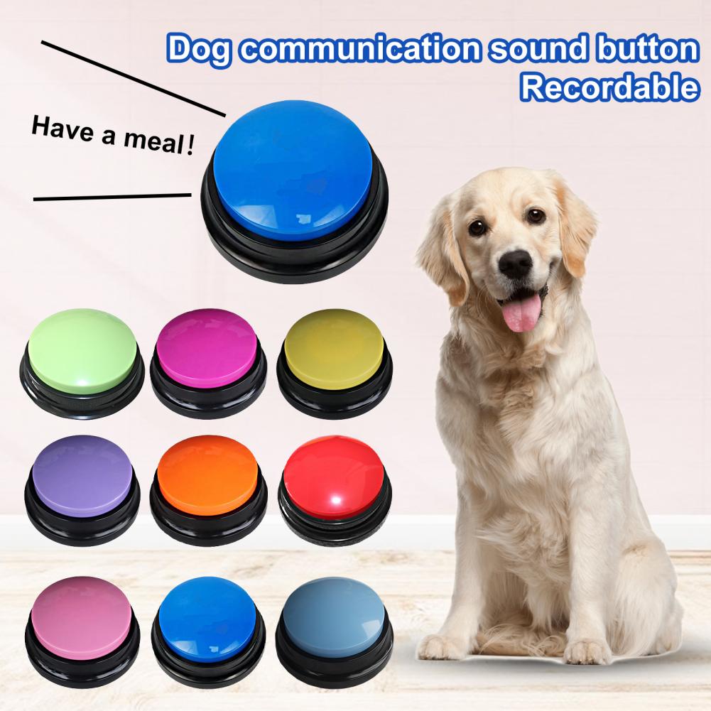 dog sound box