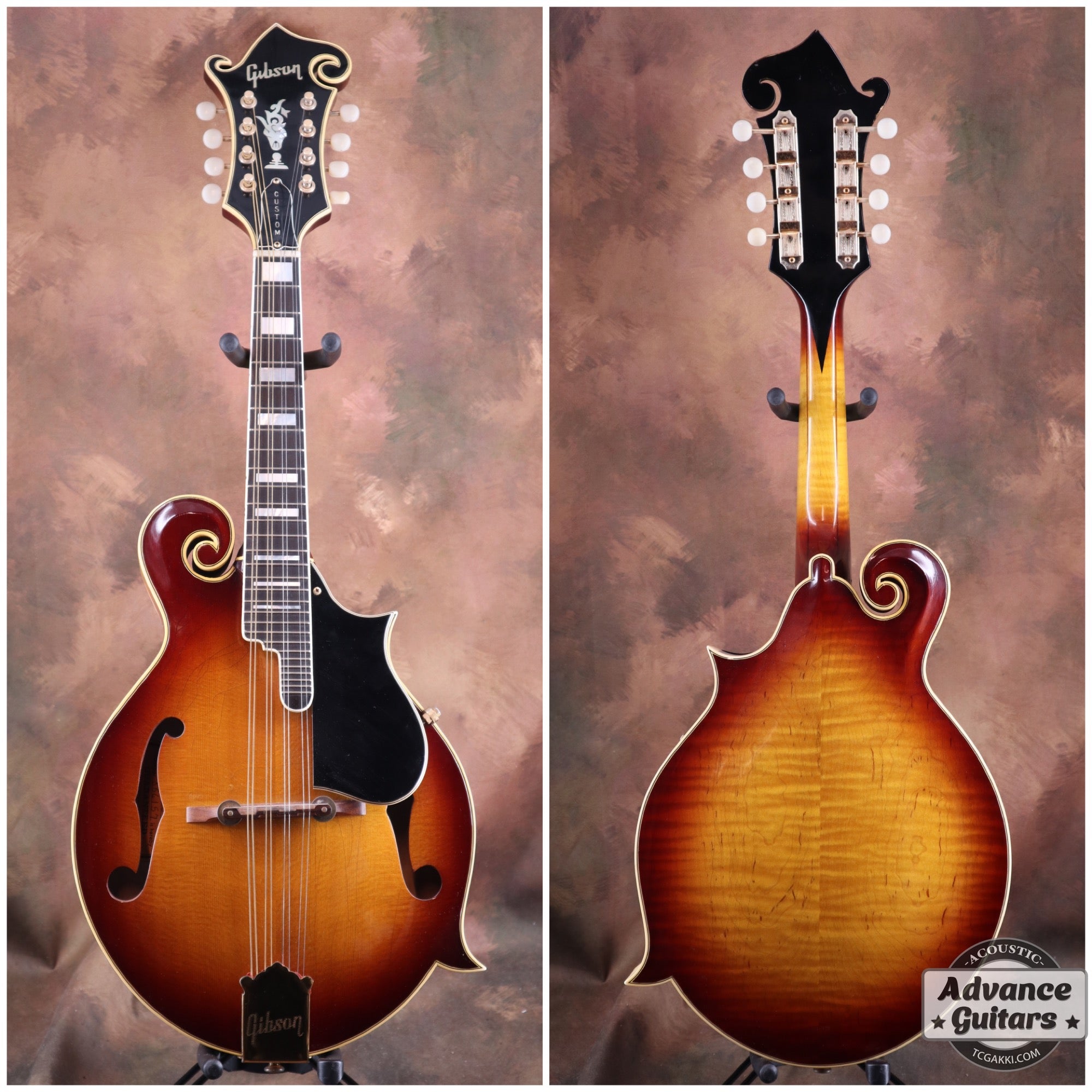 1966+F-5+Mandolin+-+TC楽器+-+TCGAKKI