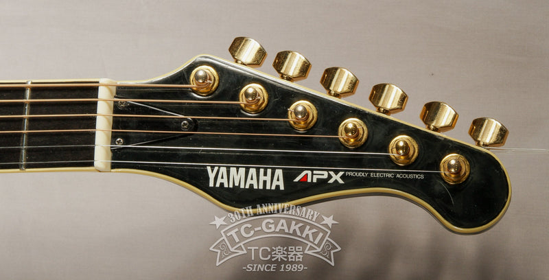 A4等級以上 ✡レアAPX-10SS YAMAHA カタログ未掲載限定モデル 品 | www