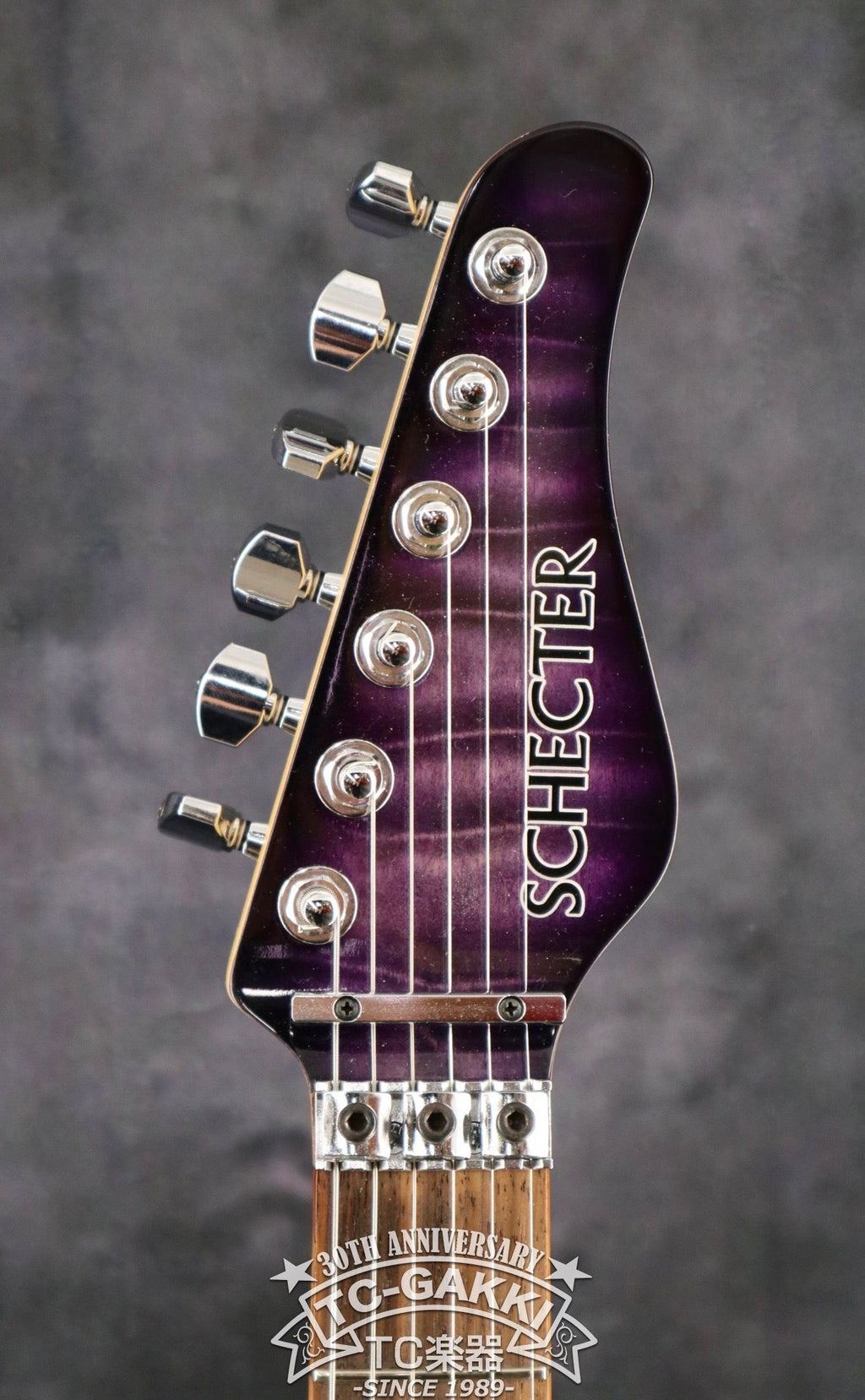 オリジナル SCHECTER ローズウッド指板 SD-DX-24-AS エレキギター