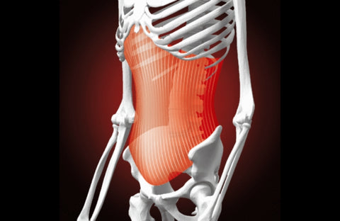 インナーマッスルをサポートし、本来のポテンシャルを引き出す