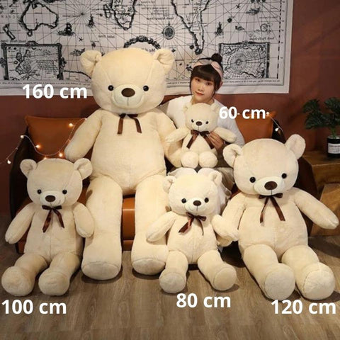teddy bear dimensions