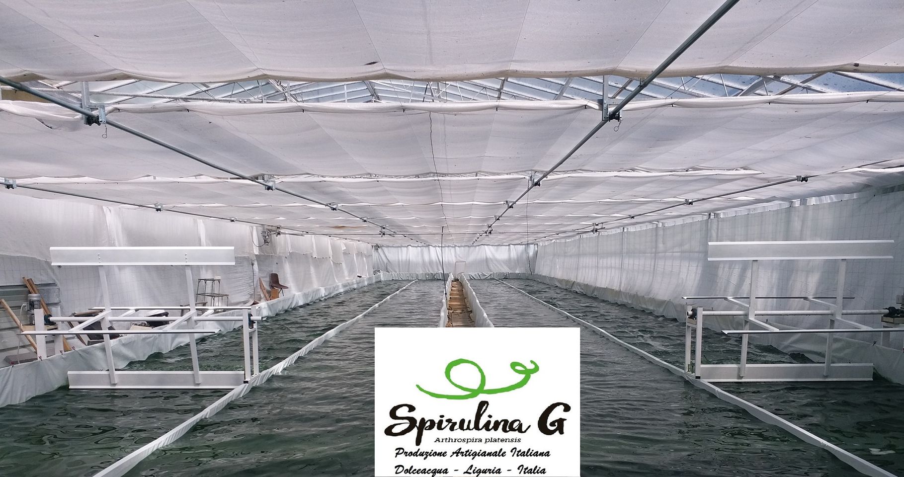 spirulina la migliore