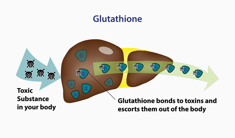 Glutathione infographic