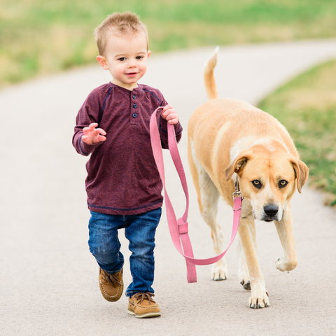 παιδάκι με σκύλο βόλτα