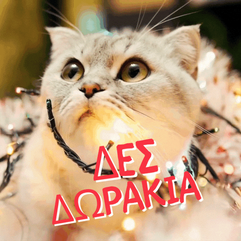 γάτα με Χριστουγεννιάτικα λαμπάκια σε κινούμενη εικόνα