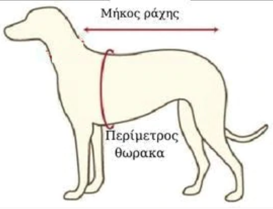εικόνα με οδηγίες μετρήσεων για ρούχα σκύλου