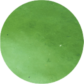 Mustard Algae