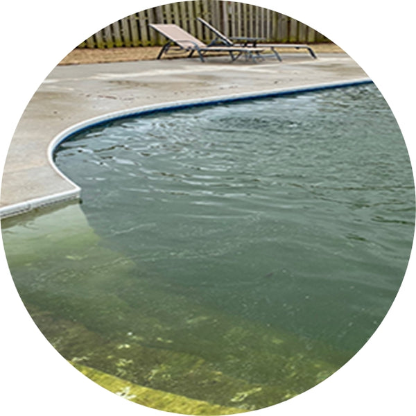 An algae-filled pool sits waiting to be cleaned by HTH products.