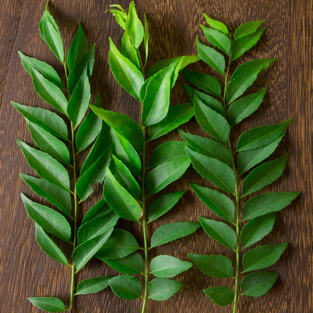 Image result for curry leaves  pic,nari