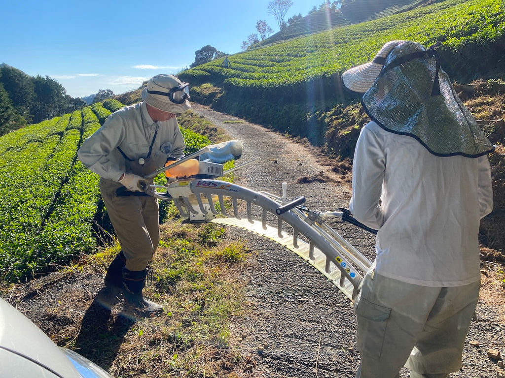 GENSEN ゲンセン おごせ茶園のお茶