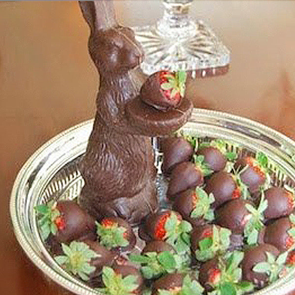 chocolate bunny