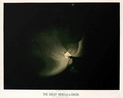 E. L. Trouvelot - The Great Nebula In Orion