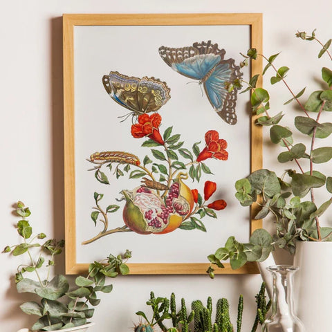 Art print featuring the artwork 'Pomegranate Tree With Caterpillar and Butterfly' by Maria Sibylla Merian. The artwork shows a beautiful, colourful illustration of a pomegranate tree, with one of its fruits opening. The leaves show caterpillars and butterflies resting, illustrating the metamorphosis of the caterpillar's life cycle.